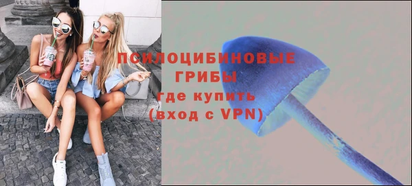 сатива Иннополис