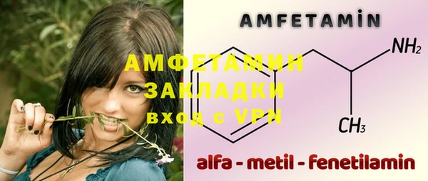 МДПВ Инсар