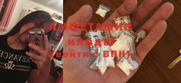 сатива Иннополис