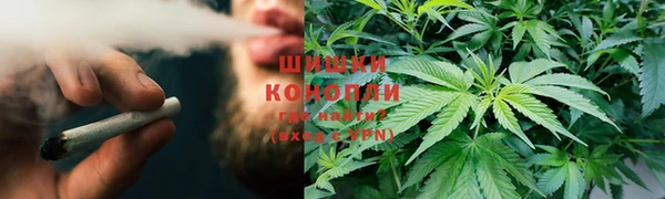 сатива Иннополис