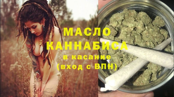 МДПВ Инсар
