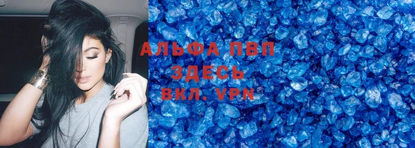 МДПВ Инсар