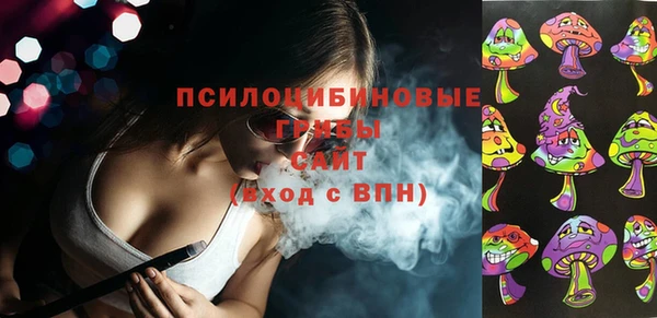 МДПВ Инсар