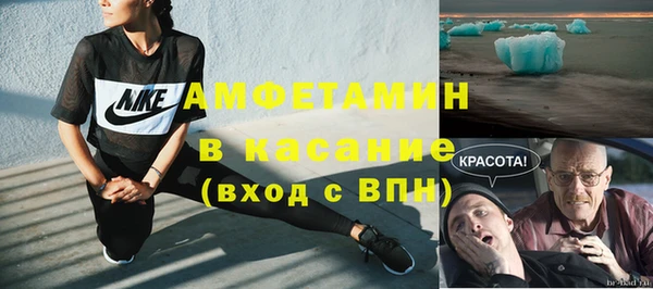 МДПВ Инсар