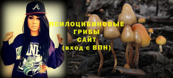 сатива Иннополис