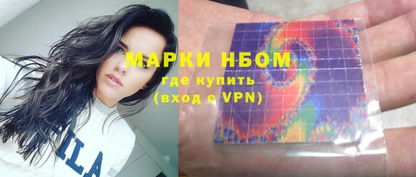 МДПВ Инсар