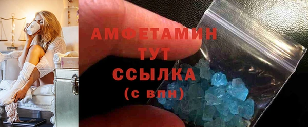 МДПВ Инсар
